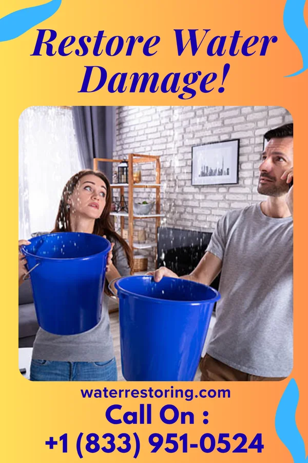 water restoration Central Disaster Recovery Solutions Unadilla